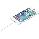 Apple - Lightning auf USB Cable 0.5m